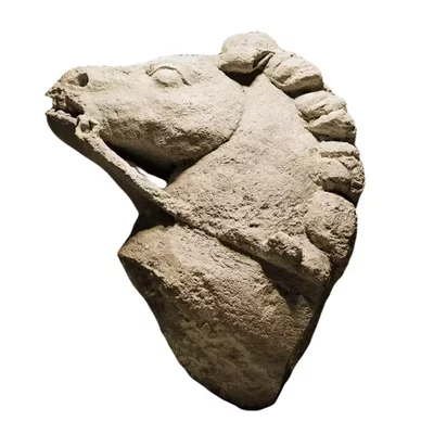 Gallo-Roman horse head. Monumental equestrian statue Main view of the sculpture